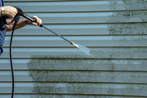 Best House Exterior Washing  in Remerton, GA