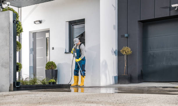 Best Animal Enclosure Cleaning  in Remerton, GA